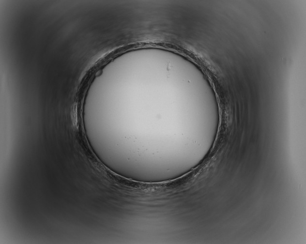 X0000094801262200712071158