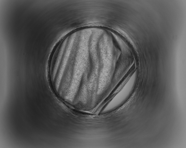 X0000094801277200712071158