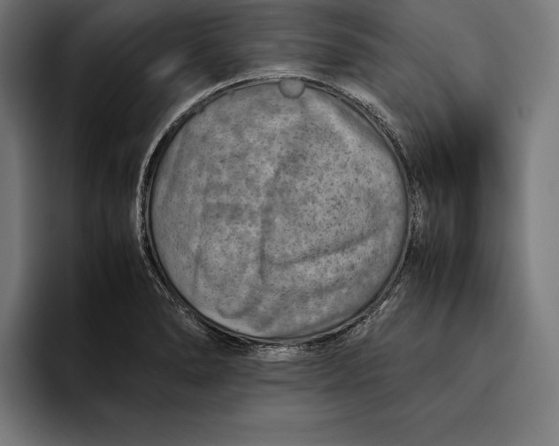 X0000094801278200712071158