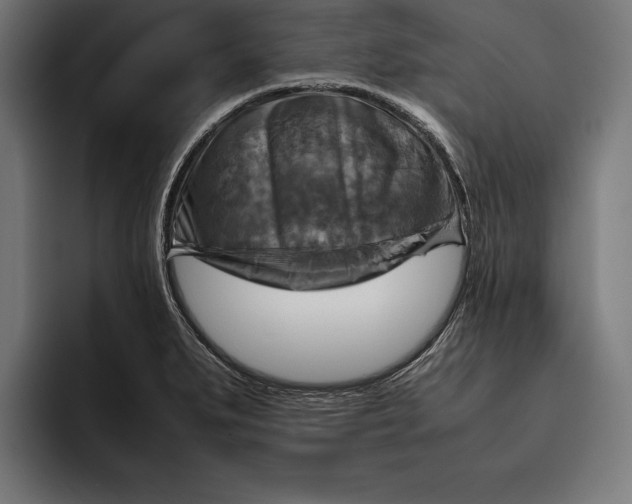 X0000094801279200712071158