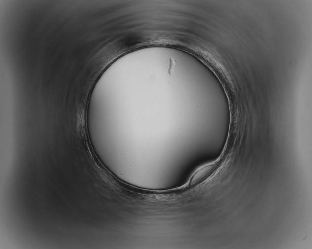 X0000094801281200712071158