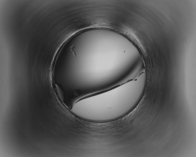 X0000094801284200712071158