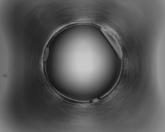 X0000094801288200712071158