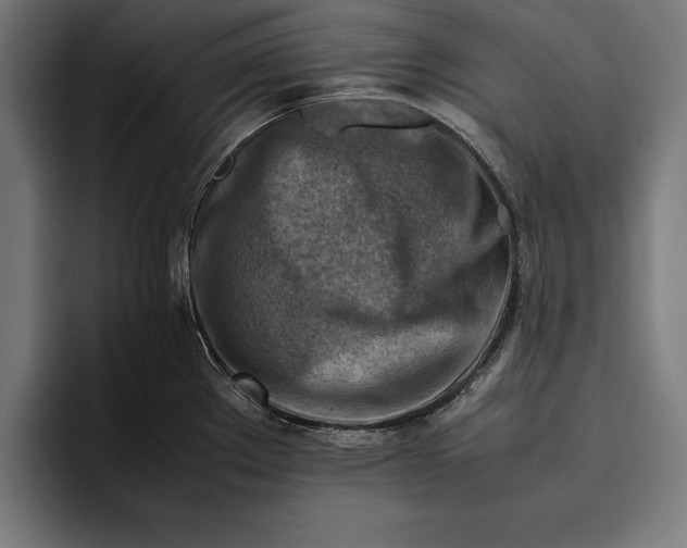 X0000094801289200712071158