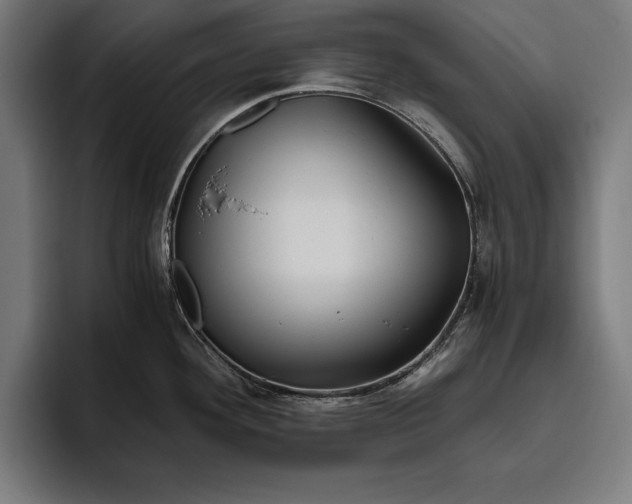 X0000094801292200712071158