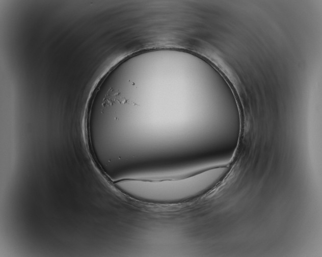 X0000094801293200712071158