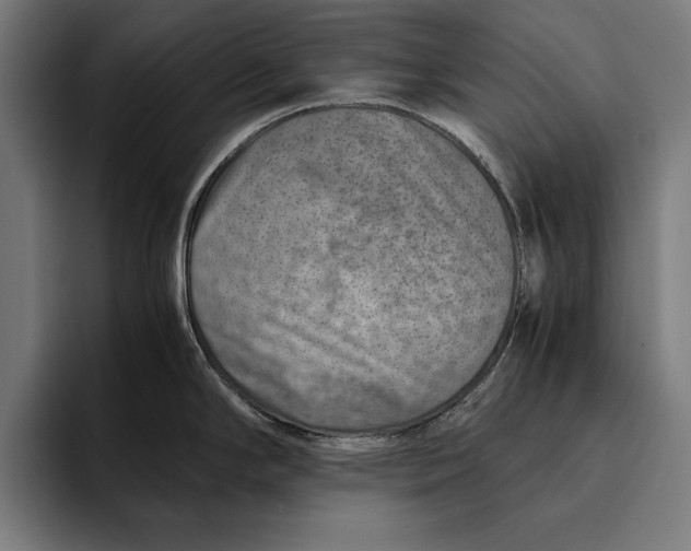 X0000094801294200712071158