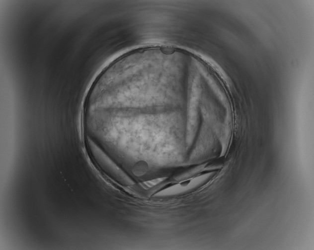 X0000094801295200712071158