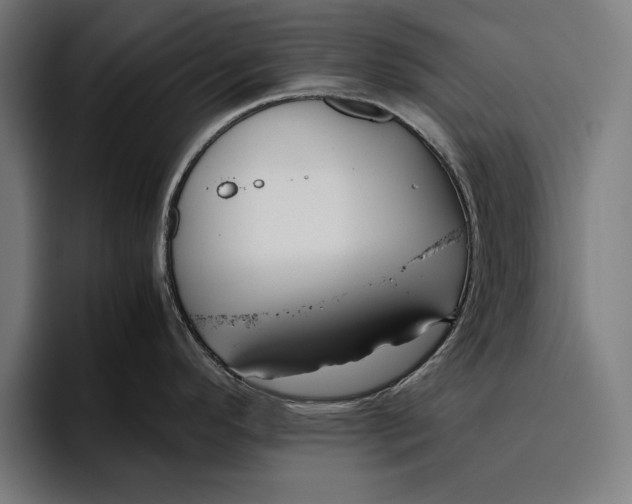 X0000094801296200712071158