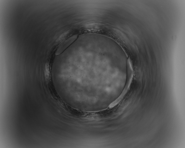 X0000094801298200712071157