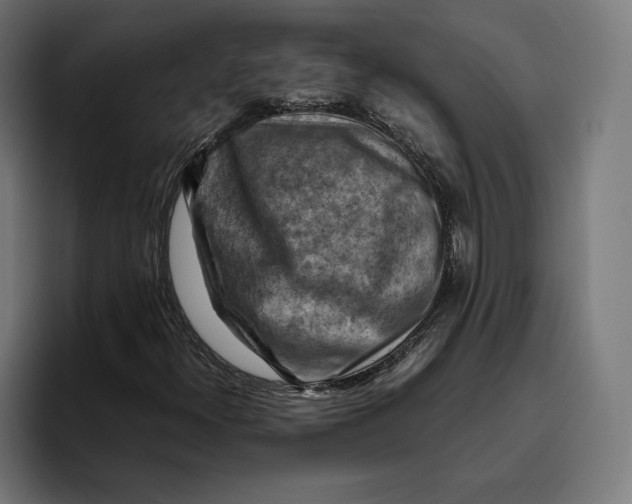 X0000094801300200712071157