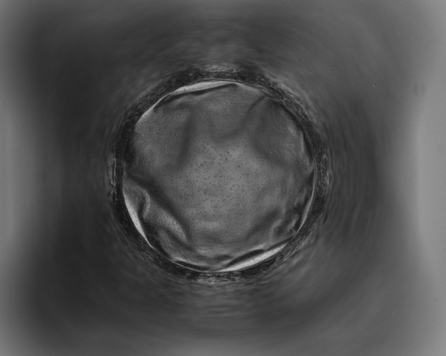 X0000094801301200712071157