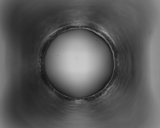 X0000094801304200712071157