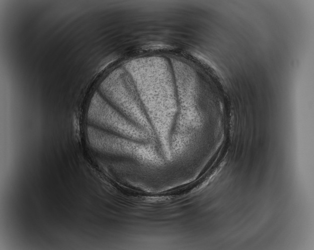 X0000094801305200712071157