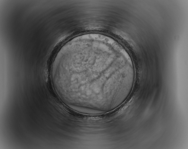 X0000094801306200712071157