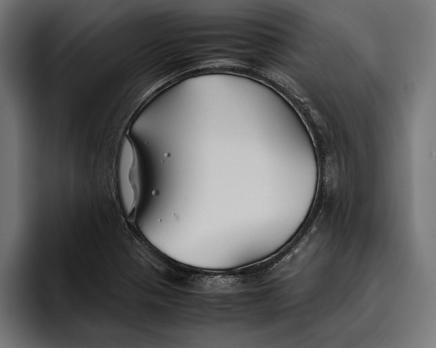 X0000094801321200712071157