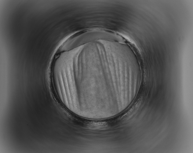 X0000094801325200712071157