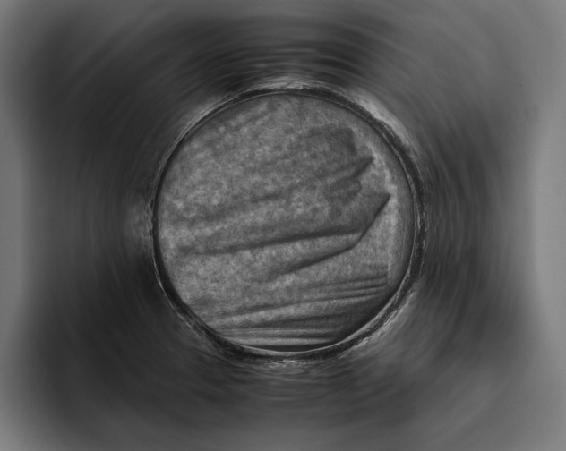 X0000094801329200712071157