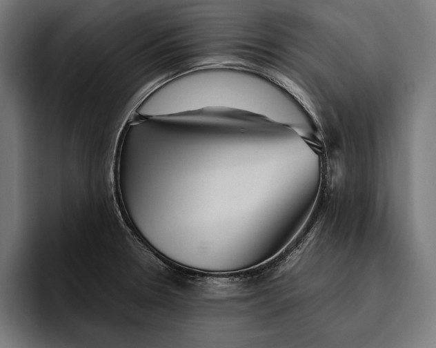 X0000094801330200712071157