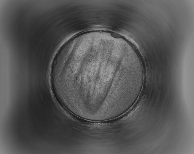 X0000094801333200712071157