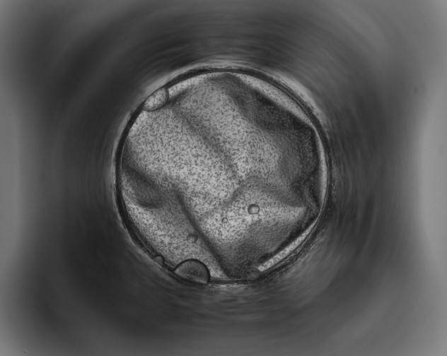 X0000094801335200712071158