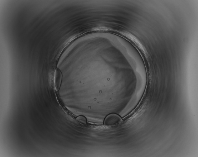 X0000094801337200712071158