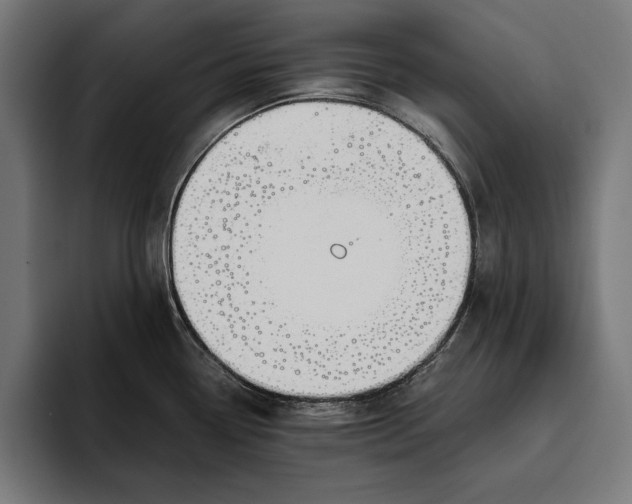 X0000094801338200712071158