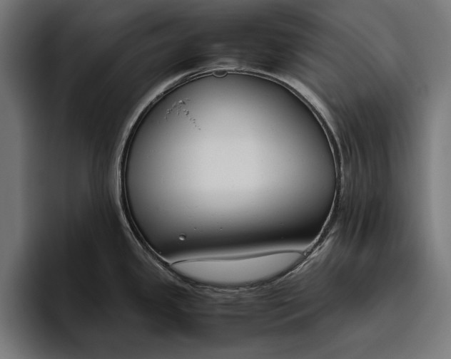 X0000094801341200712071158