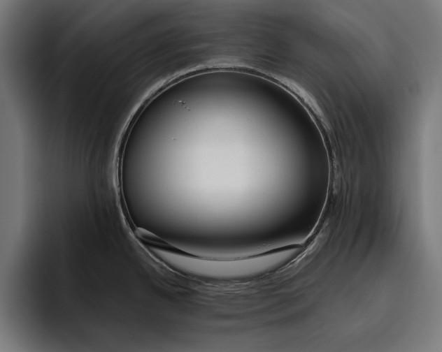 X0000094801342200712071158