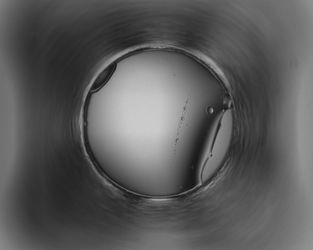 X0000094801343200712071158