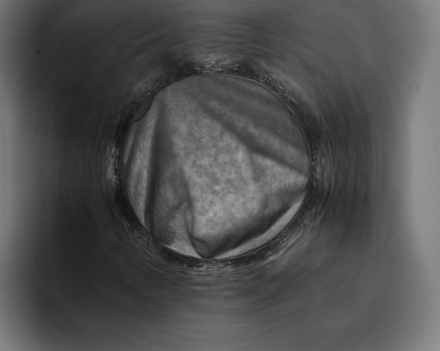 X0000094801346200712071157