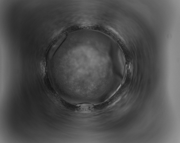 X0000094801348200712071157