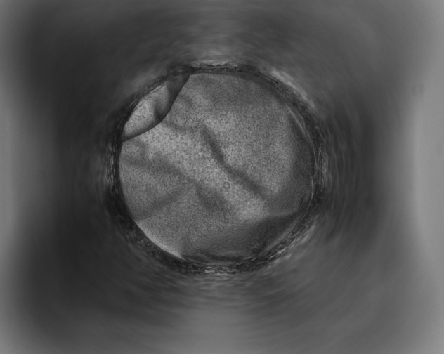 X0000094801350200712071157