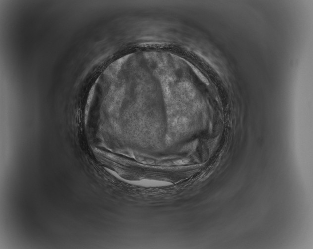 X0000094801351200712071157