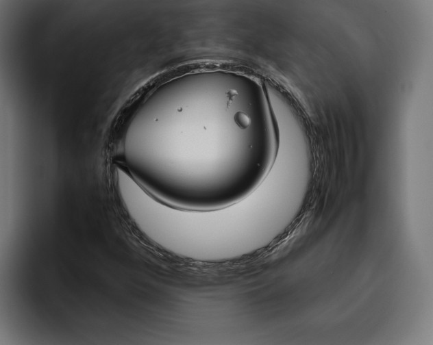 X0000094801352200712071157