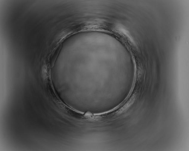 X0000094801353200712071157