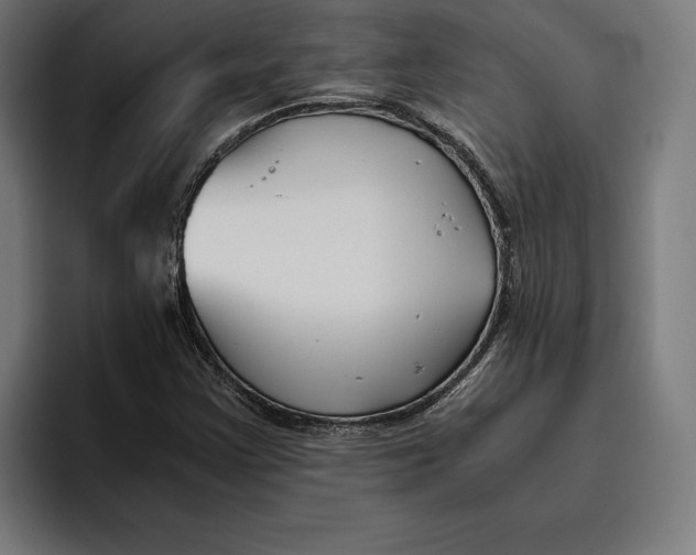 X0000094801355200712071157