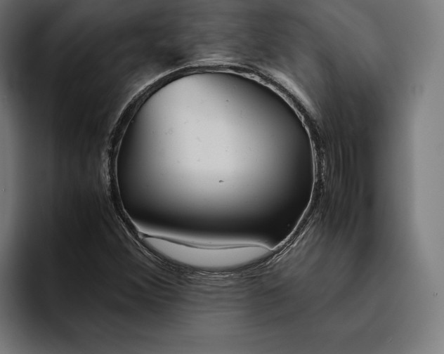 X0000094801356200712071157