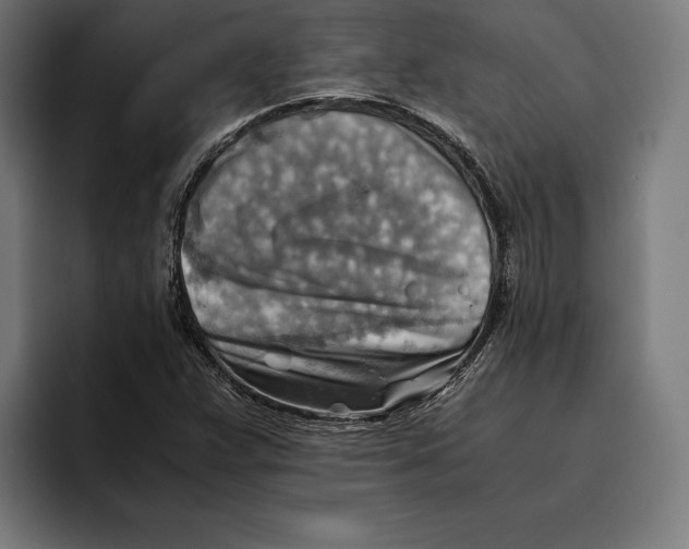 X0000094801359200712071157