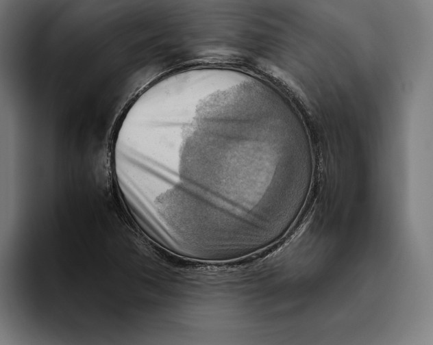 X0000094801362200712071157