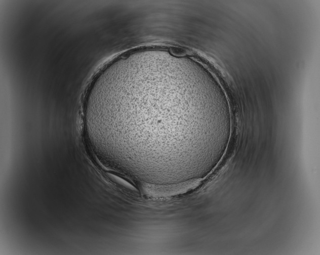 X0000094801363200712071157