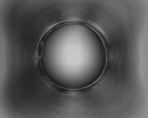 X0000094801364200712071157