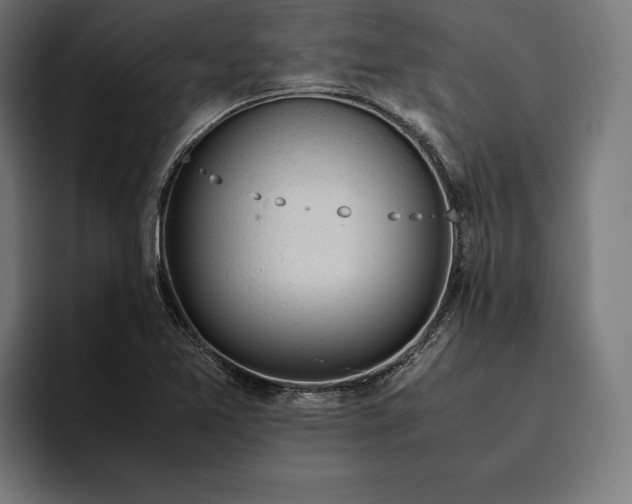 X0000094801365200712071157