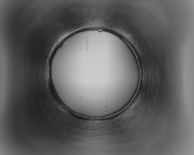 X0000094801366200712071157