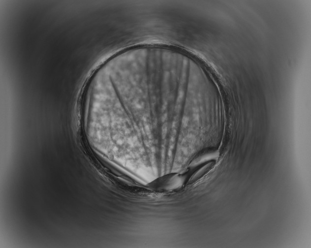 X0000094801367200712071157