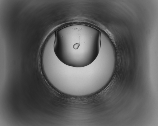 X0000094801368200712071157