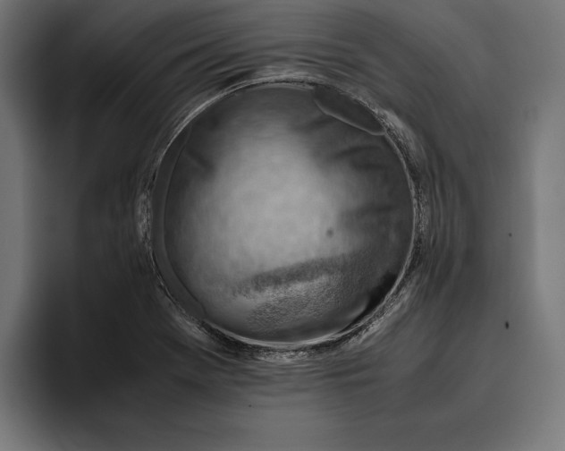 X0000094801369200712071157