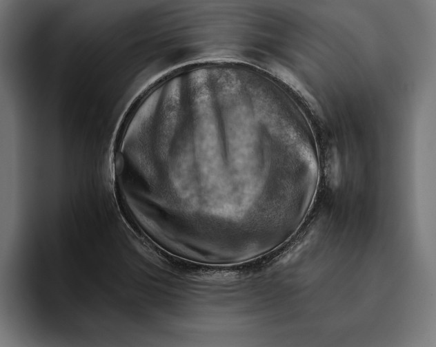 X0000094801372200712071157