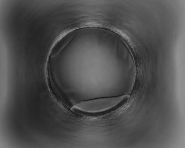 X0000094801373200712071157