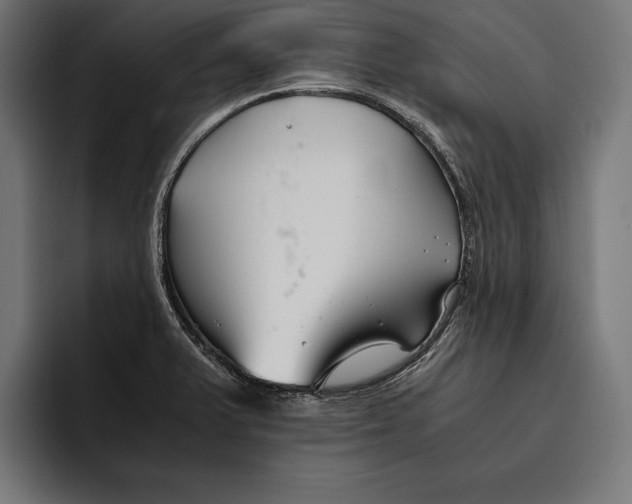 X0000094801375200712071157